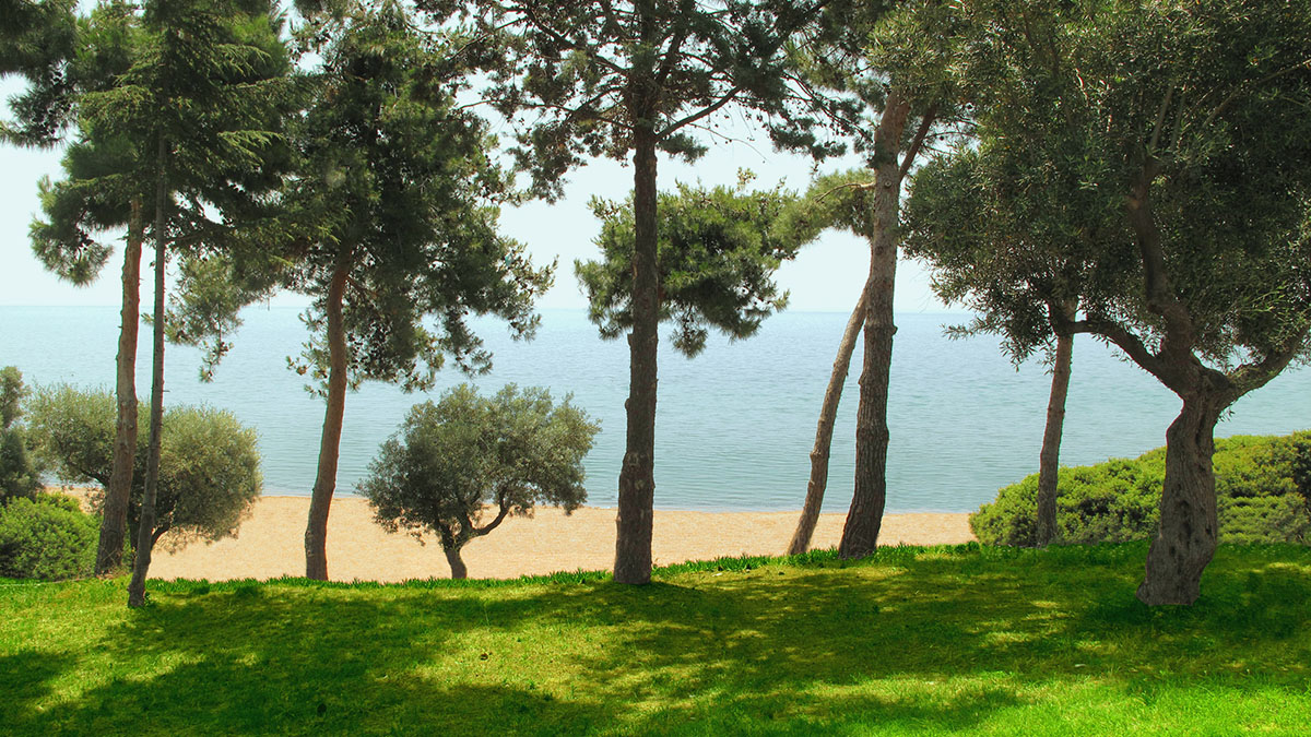 Trikorfo Beach Hotel - NR